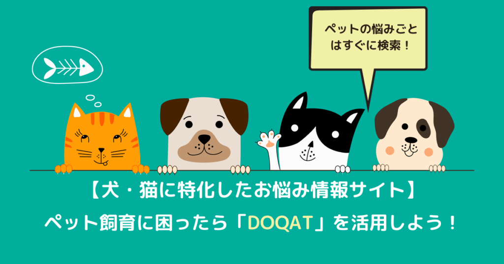 犬 介護のコタローブログ